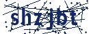 Code aus dem Bild eingeben
