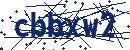 Code aus dem Bild eingeben