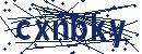 Code aus dem Bild eingeben