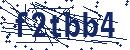 Code aus dem Bild eingeben