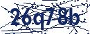 Code aus dem Bild eingeben