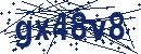 Code aus dem Bild eingeben