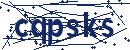 Skriv koden fra billedet
