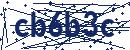 Code aus dem Bild eingeben