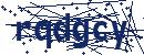 Code aus dem Bild eingeben