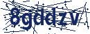 Code aus dem Bild eingeben