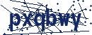 Code aus dem Bild eingeben