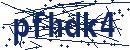 Code aus dem Bild eingeben