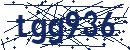 Code aus dem Bild eingeben
