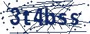 Code aus dem Bild eingeben