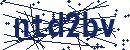 Code aus dem Bild eingeben
