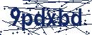 Code aus dem Bild eingeben