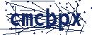 Code aus dem Bild eingeben