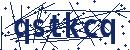Code aus dem Bild eingeben