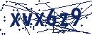 Code aus dem Bild eingeben