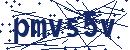 Code aus dem Bild eingeben