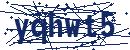 Code aus dem Bild eingeben