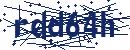 Code aus dem Bild eingeben