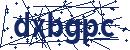 Code aus dem Bild eingeben