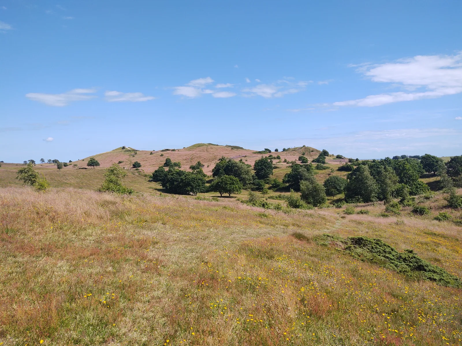 Bakkelandskab ved Trehøje i Nationalpark Mols Bjerge.