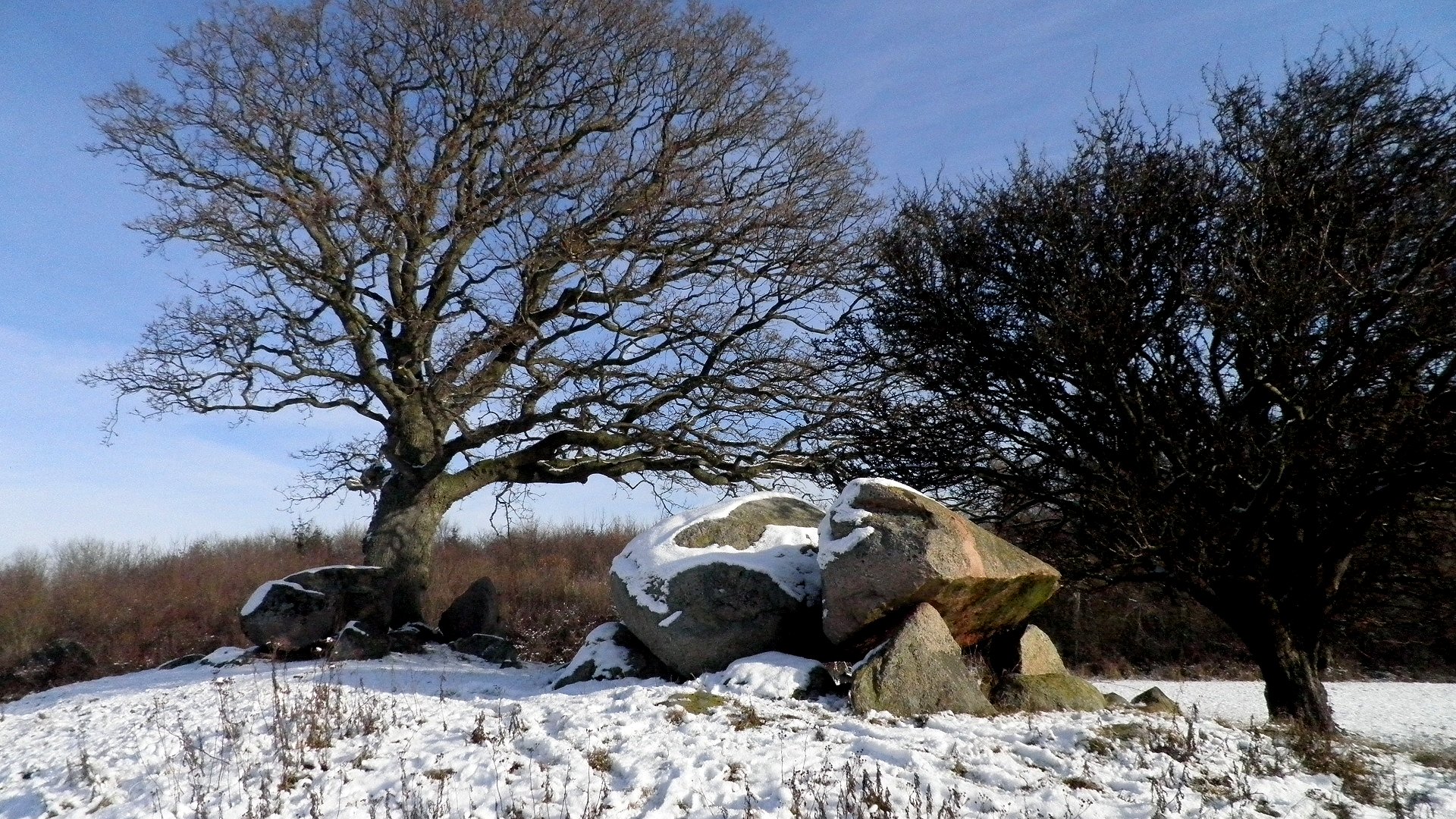 Kong Renes Høj – Foto bei Wikimedia Commons