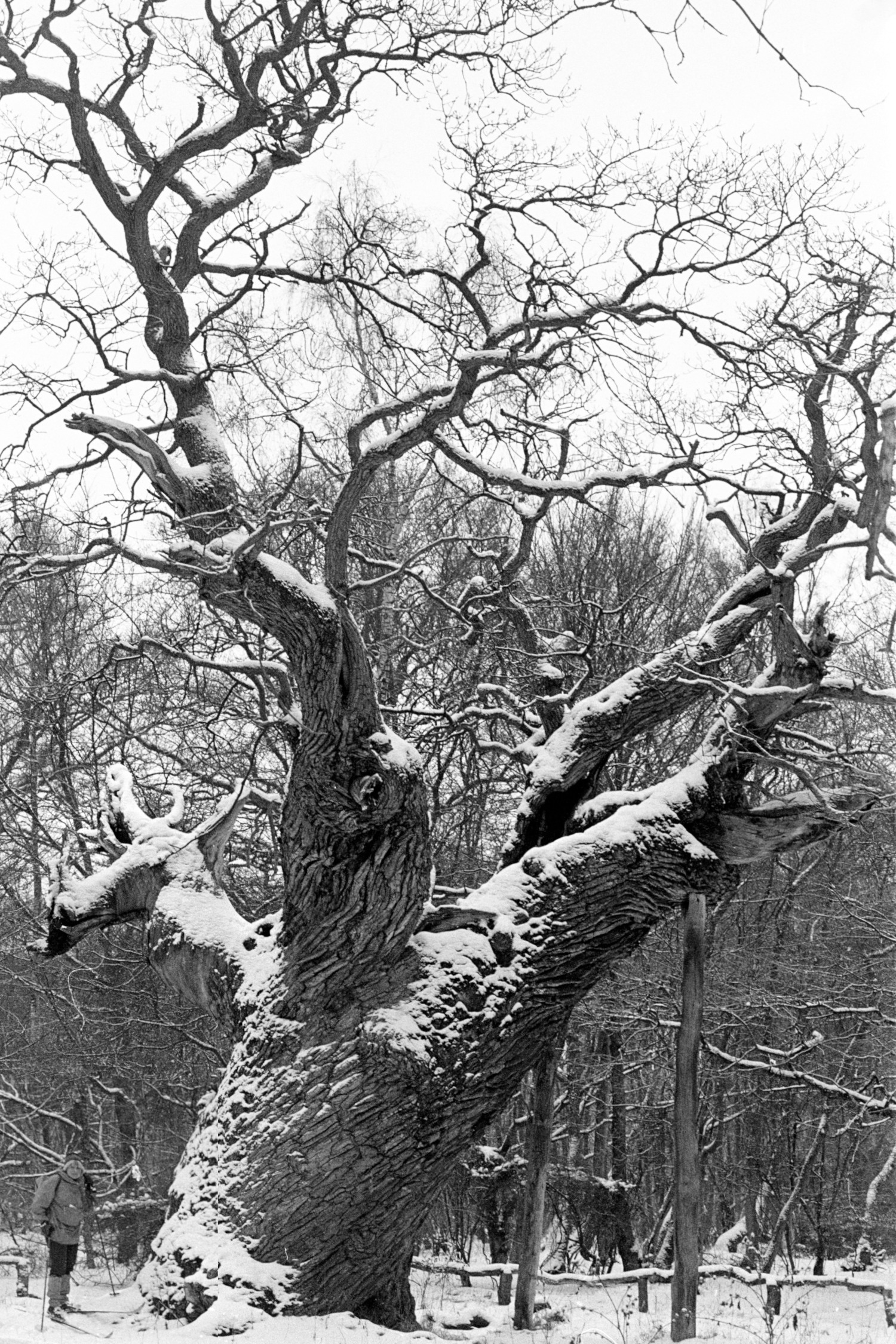 Snoegen – Foto bei Wikimedia Commons