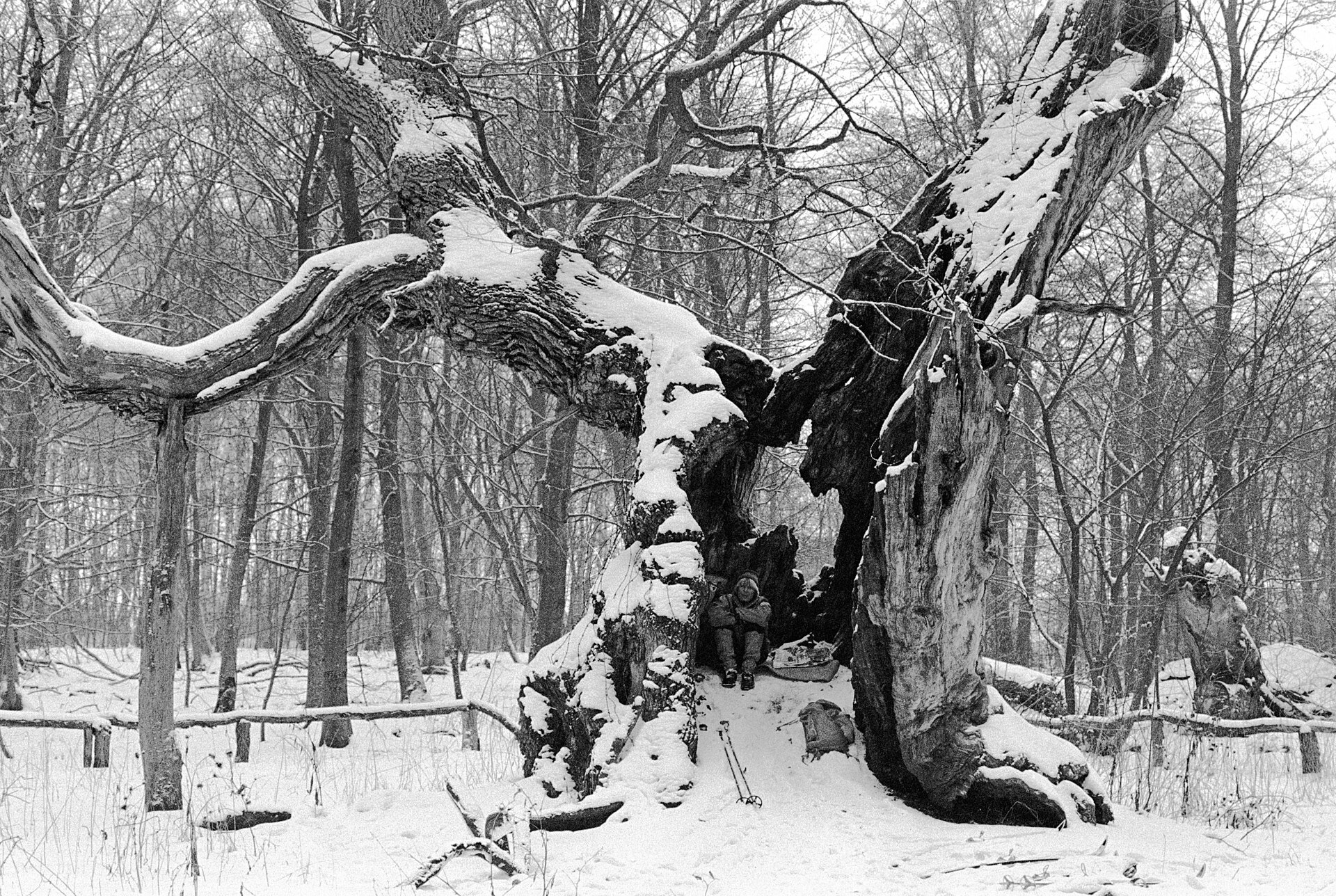 Storkeegen – Foto bei Wikimedia Commons