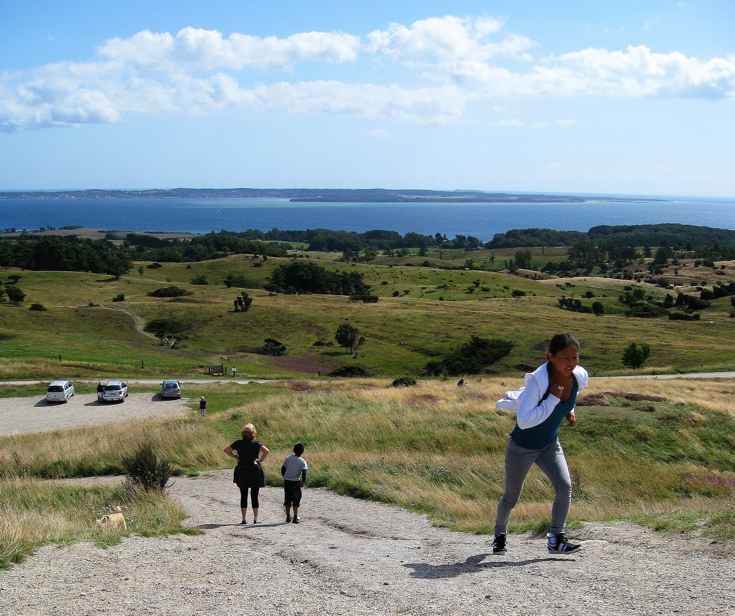 Trehøje – foto fra Wikimedia Commons
