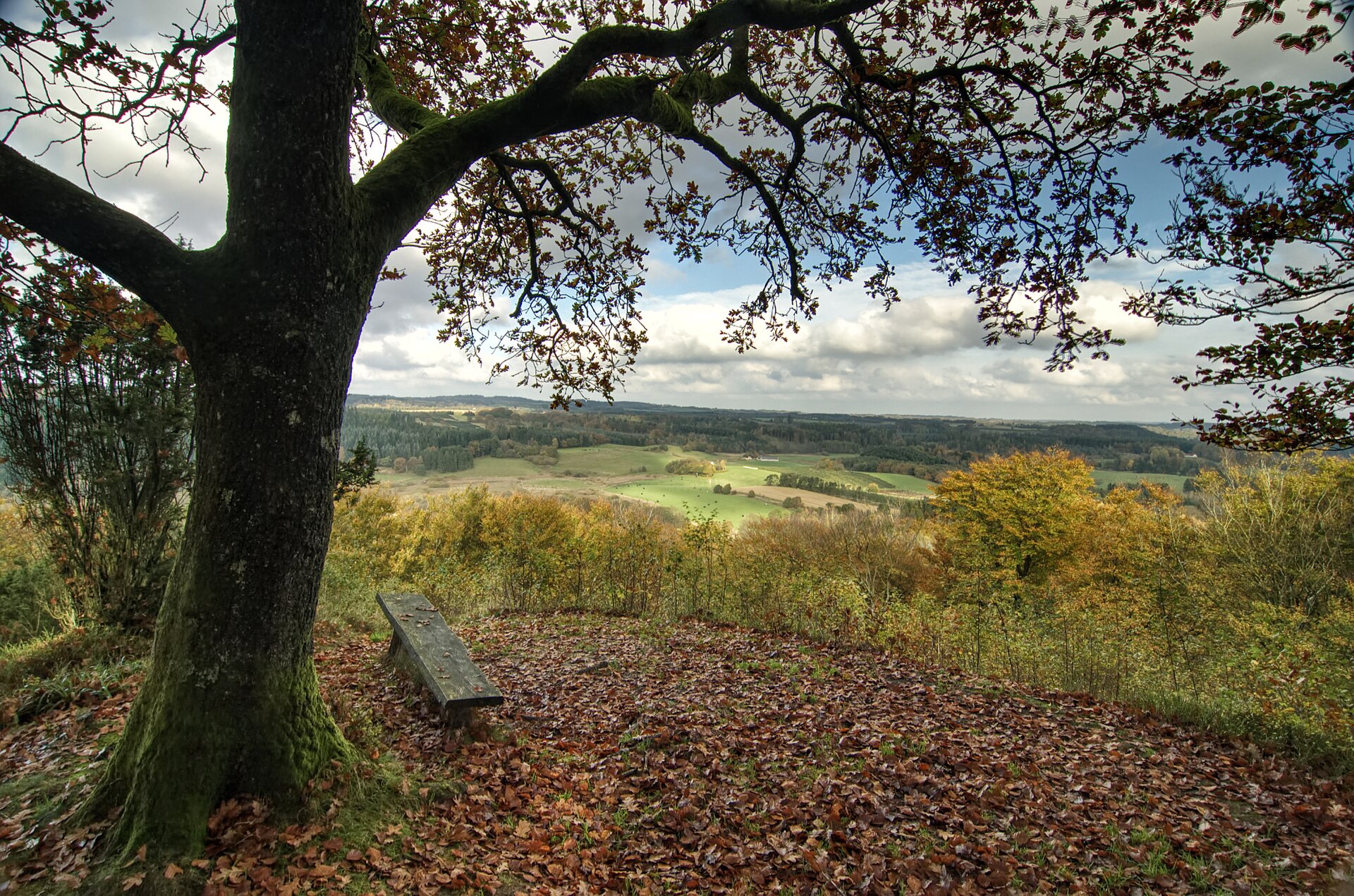 Velling Kalv – foto fra Wikimedia Commons