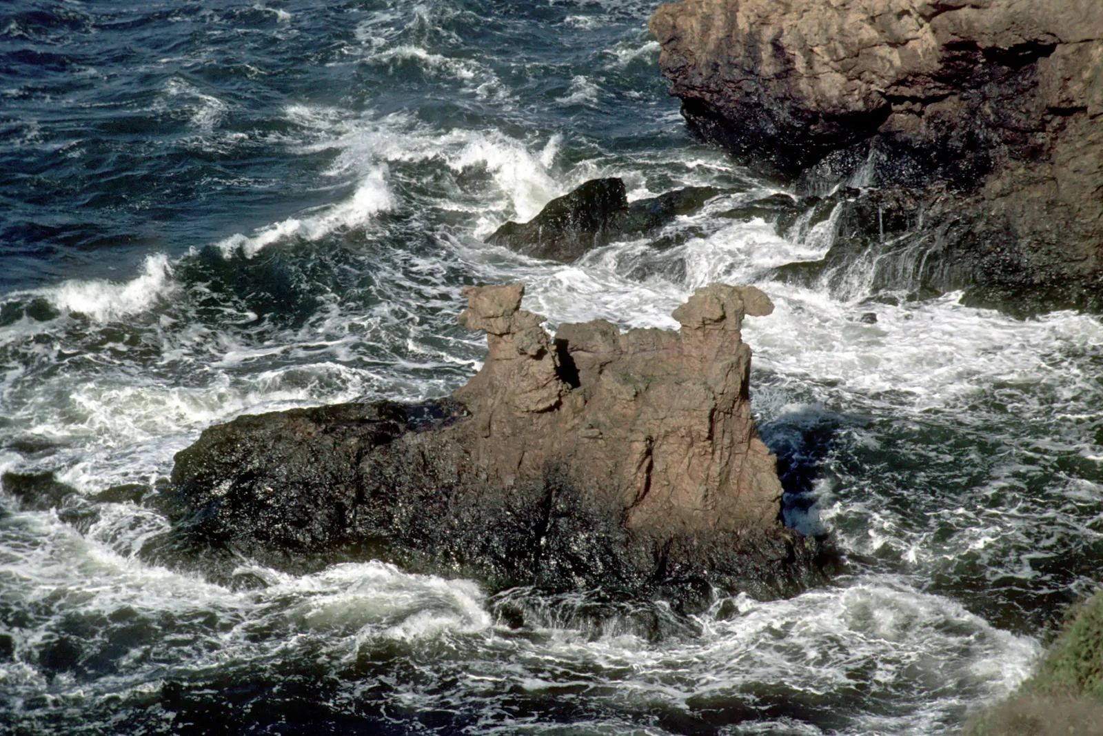 Kamelhovederne – foto fra Wikimedia Commons