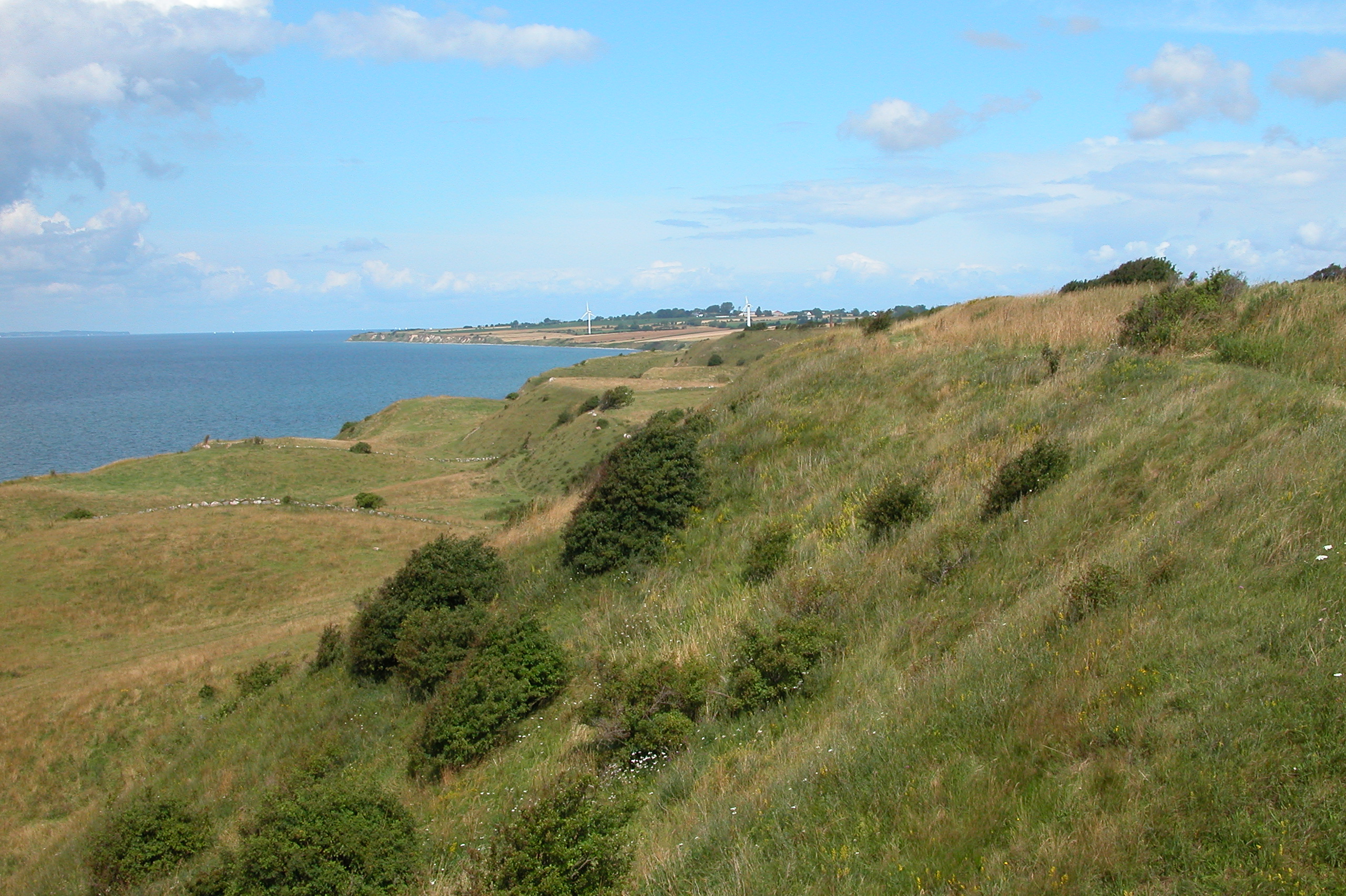 Voderup Klint – Foto bei Wikimedia Commons
