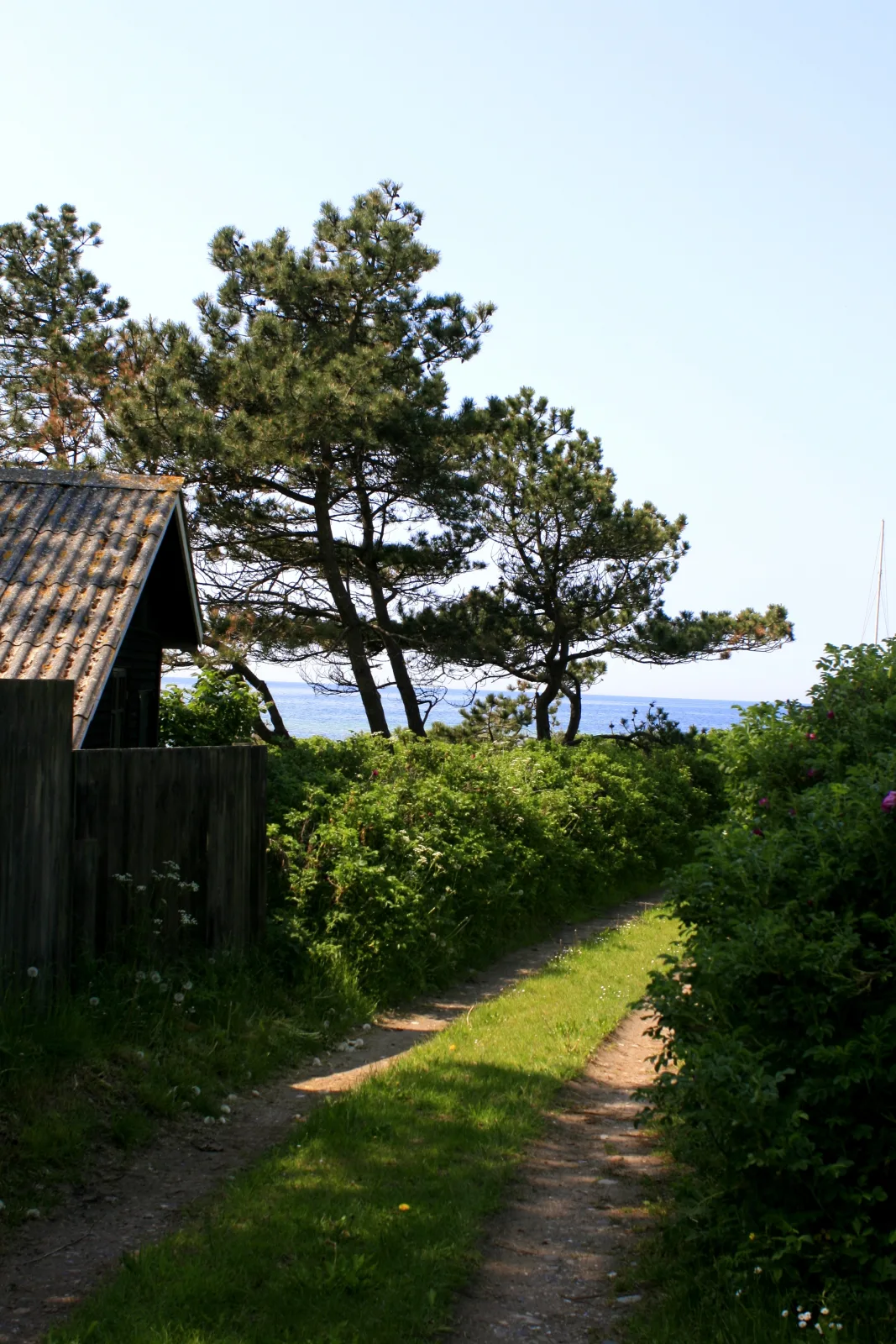 Badevand: BILDSØ STRAND – foto fra Wikimedia Commons