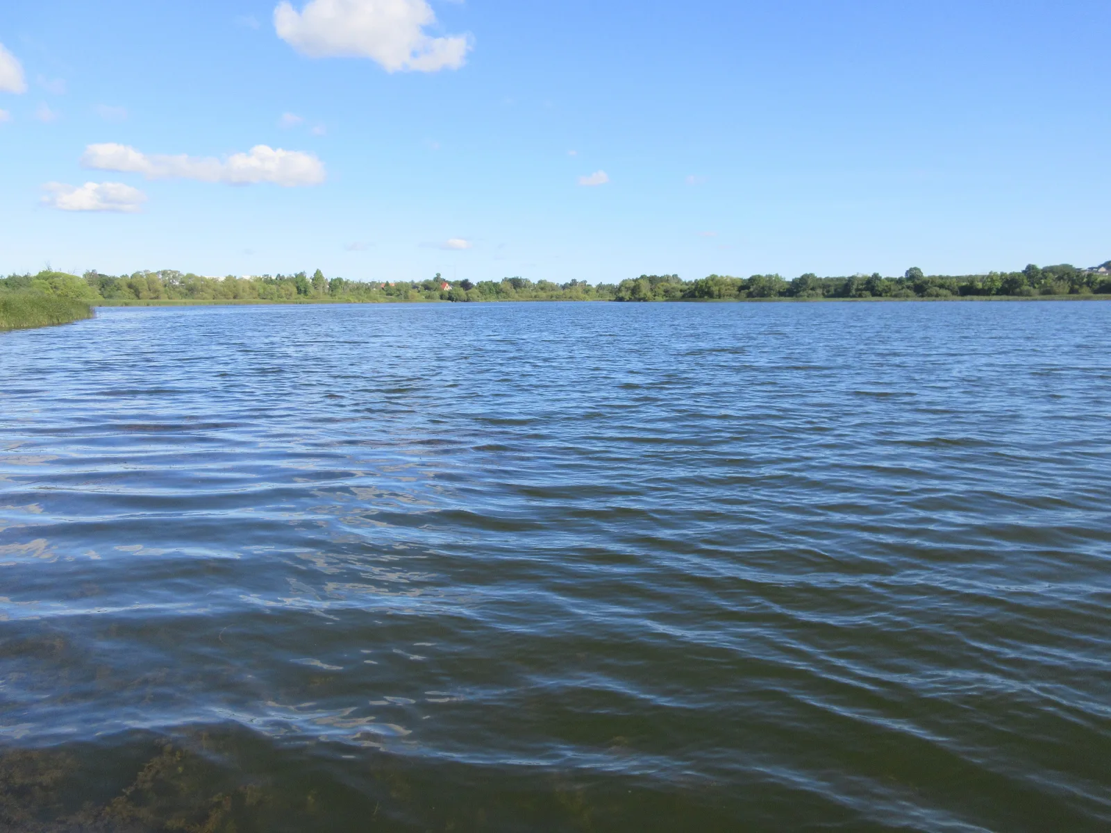 Badevand: KIMMERSLEV SØ – foto fra Wikimedia Commons