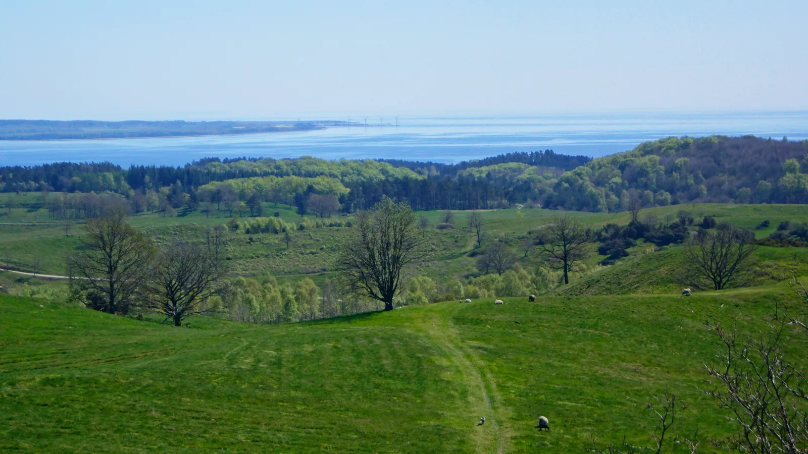 Agri Bavnehøj – foto fra Wikimedia Commons