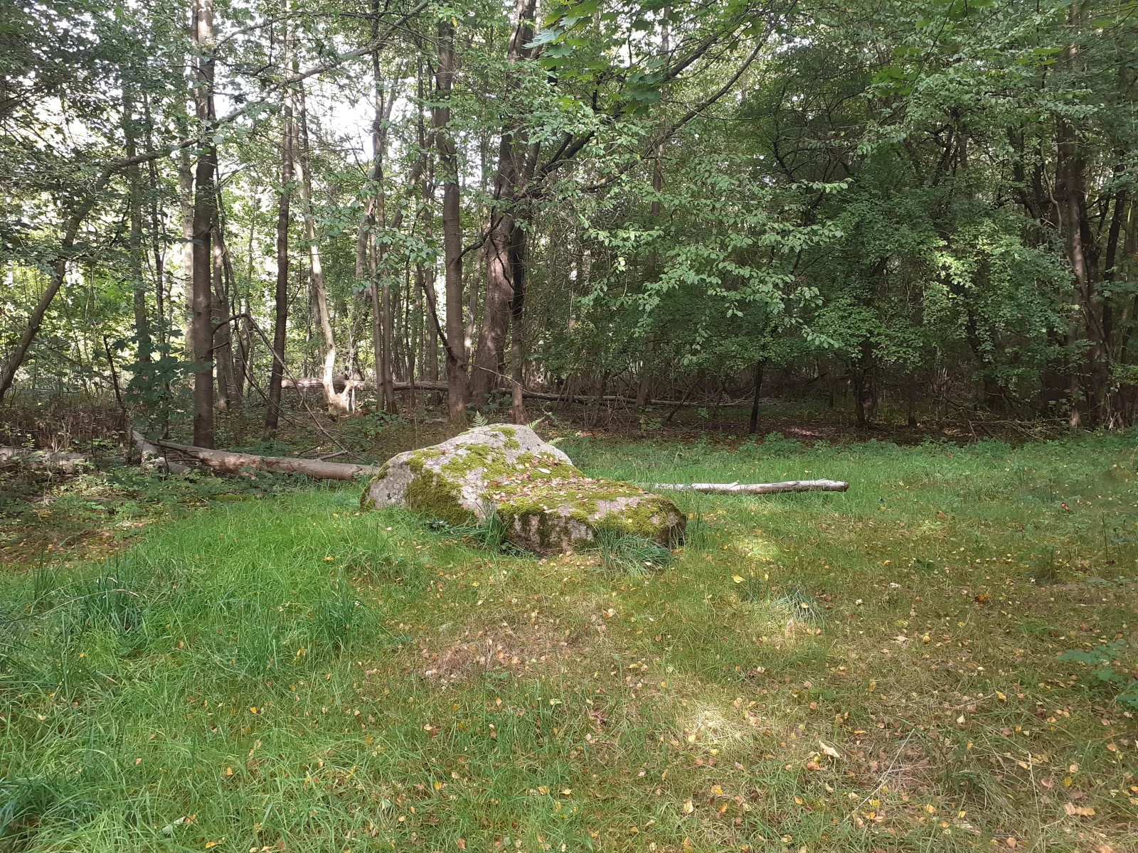 Finlandiastenen – foto fra Wikimedia Commons