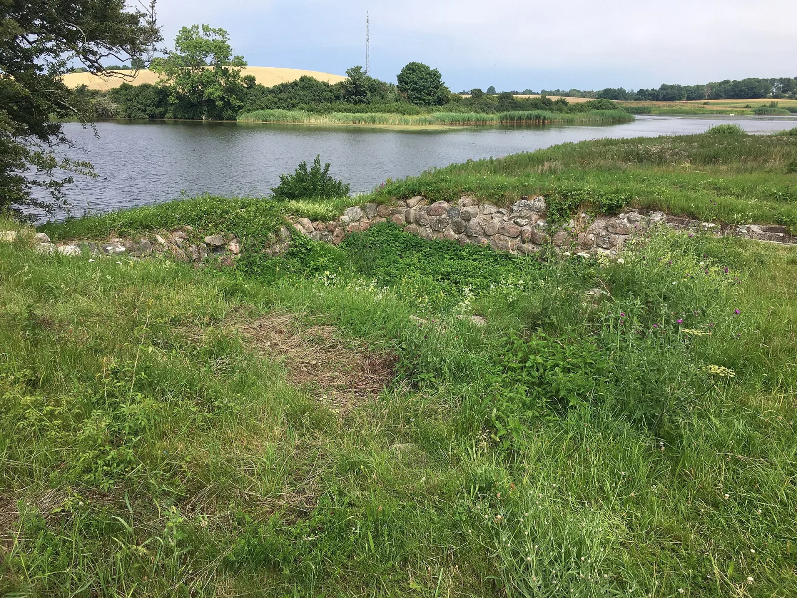 Næsholm Borgruin – foto fra Wikimedia Commons