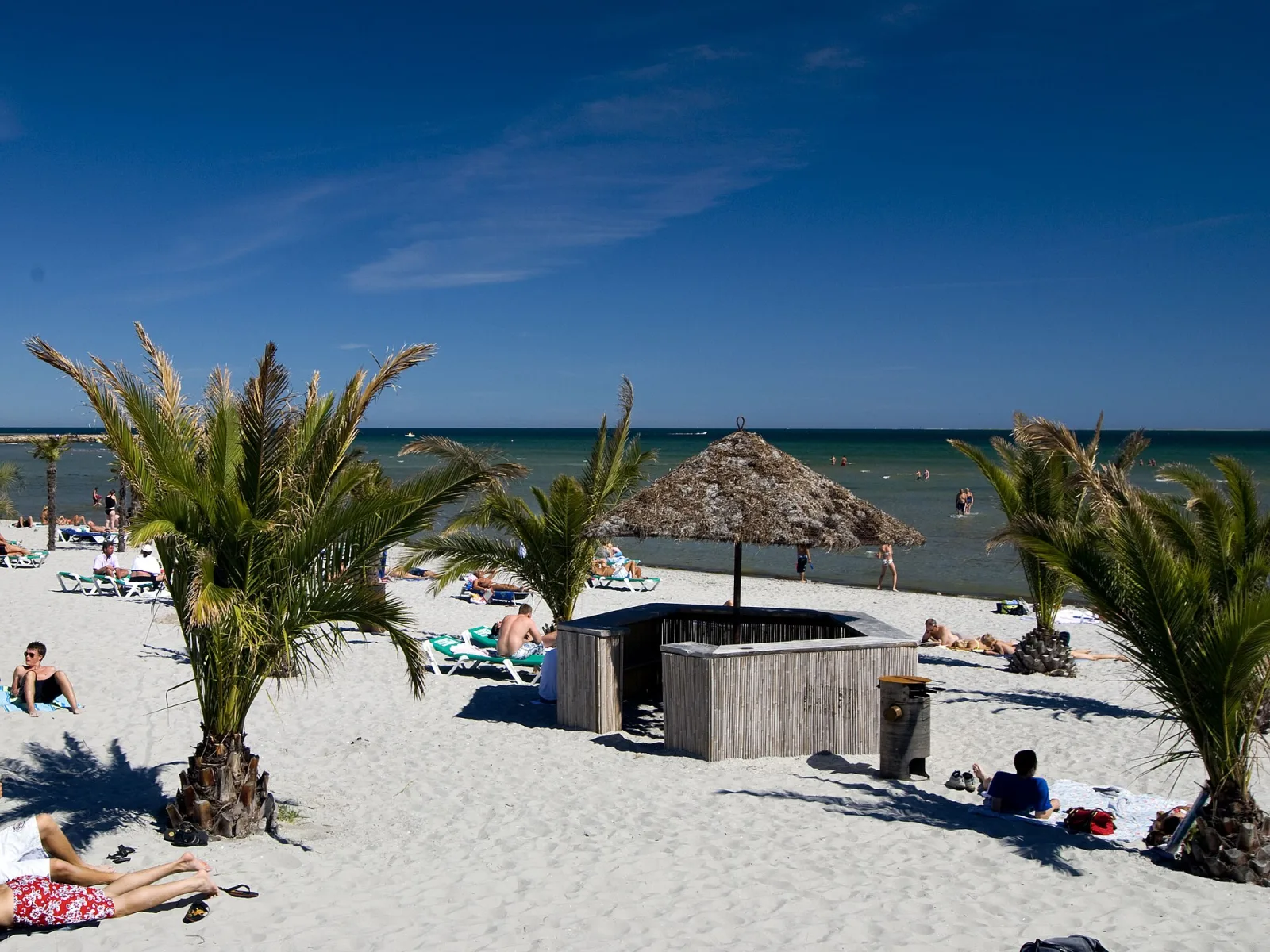 Palmestranden – foto fra Wikimedia Commons