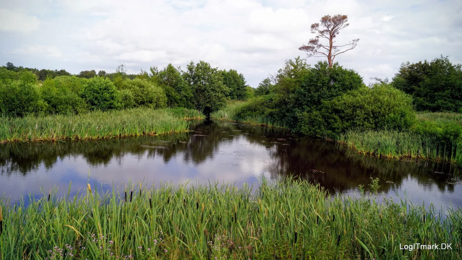 Ørnereservatet – foto fra Wikimedia Commons