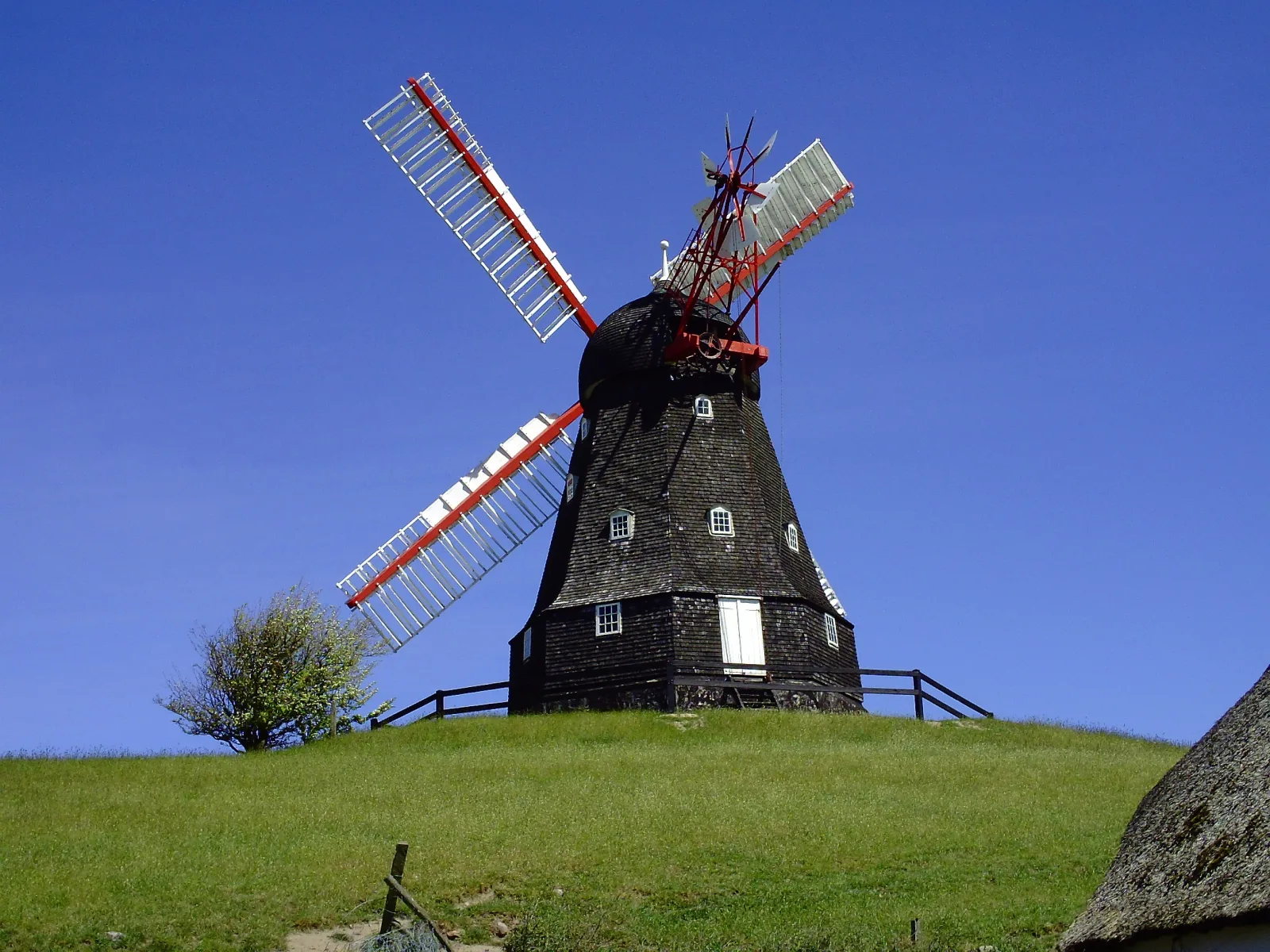 Skovsgaard Mølle – foto af eget værk/own work - Arne Alexander Fræer Eckmann aka Praeceptor på Wikimedia Commons (cc-by-sa-3.0)