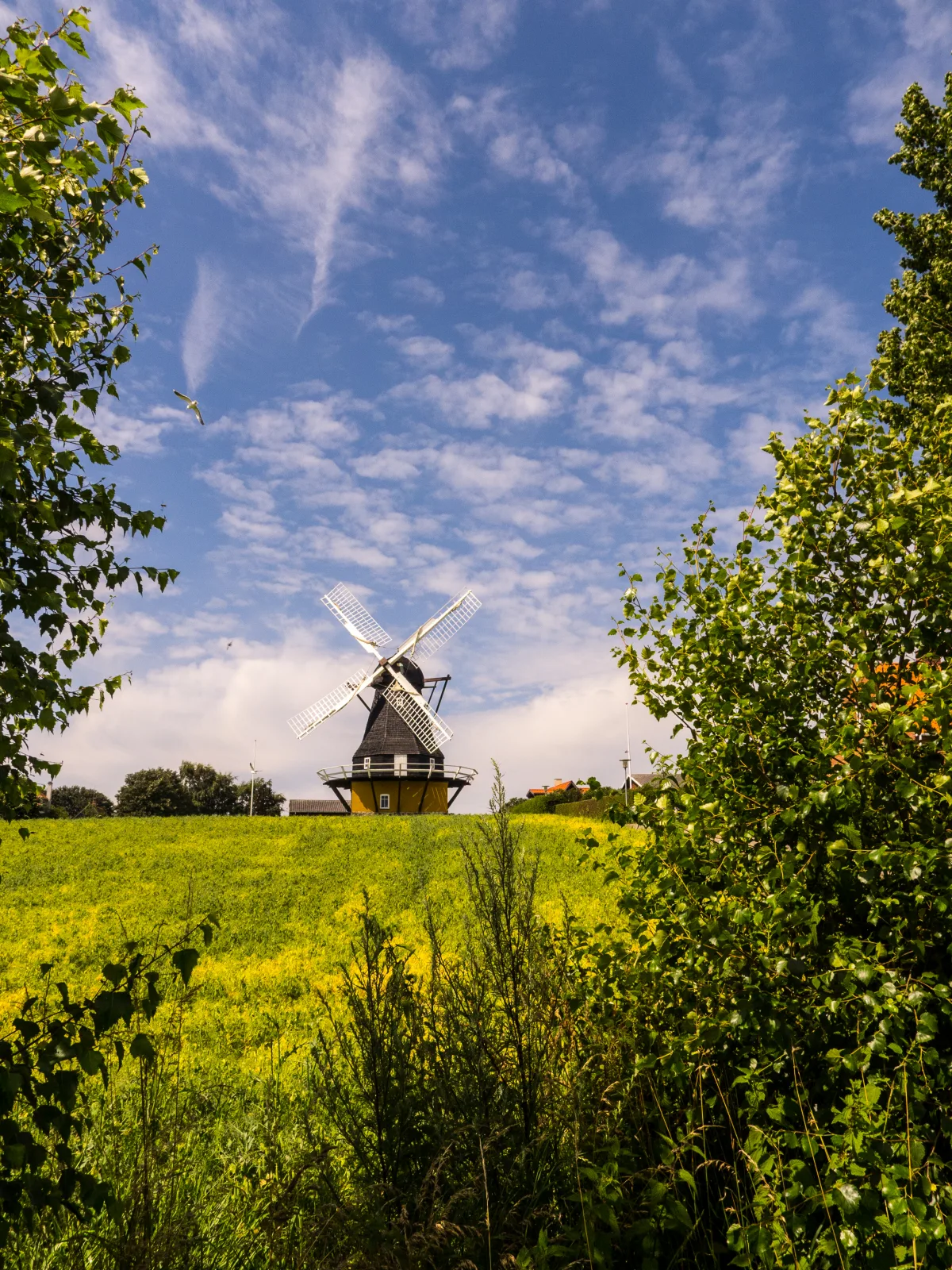 Agersø Mølle – Foto von Bo Mertz auf Wikimedia Commons (cc-by-sa-2.0)