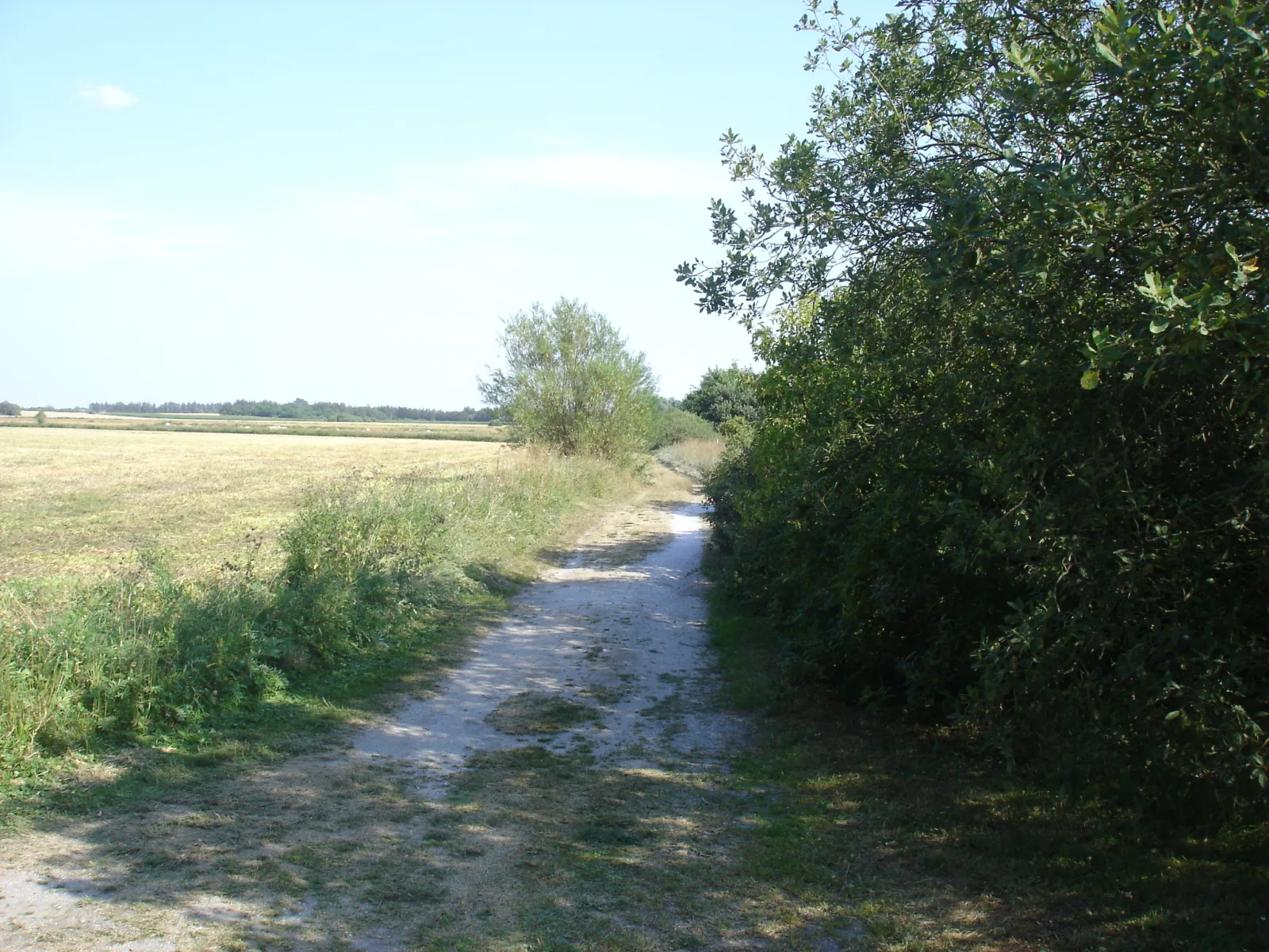 Løkken Golfklub – foto af Beethoven9 på Wikimedia Commons (cc-by-sa-4.0)