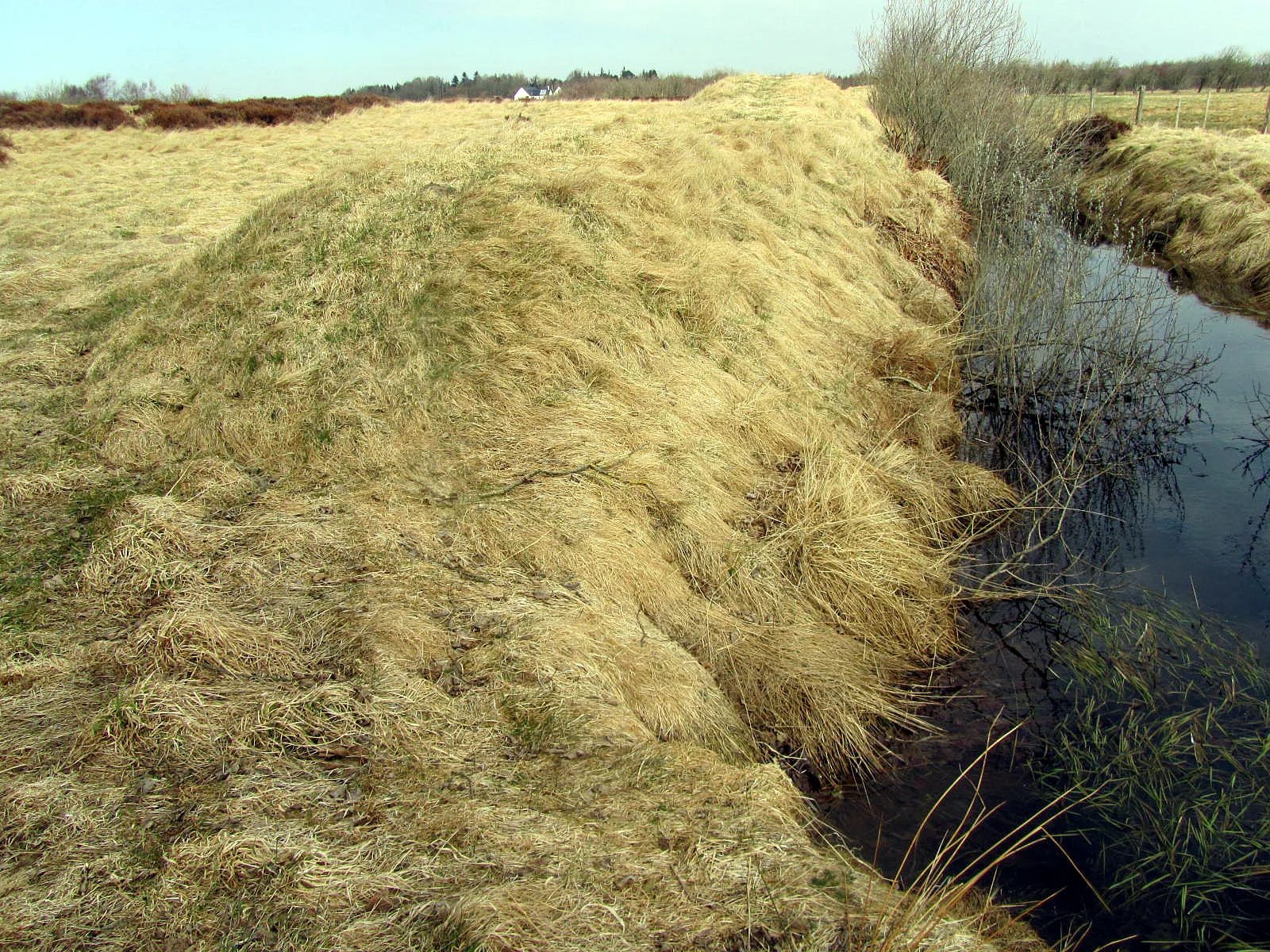 Borremose Fæstningen – Foto von Nico-dk auf Wikimedia Commons (cc-by-sa-3.0)
