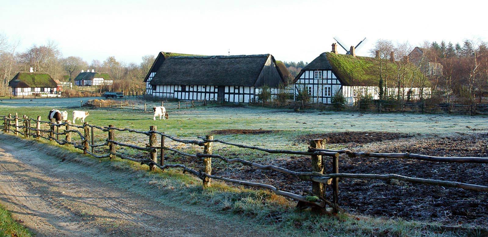Hjerl Hede – Foto von Wikimedia Commons contributor auf Wikimedia Commons (public domain)