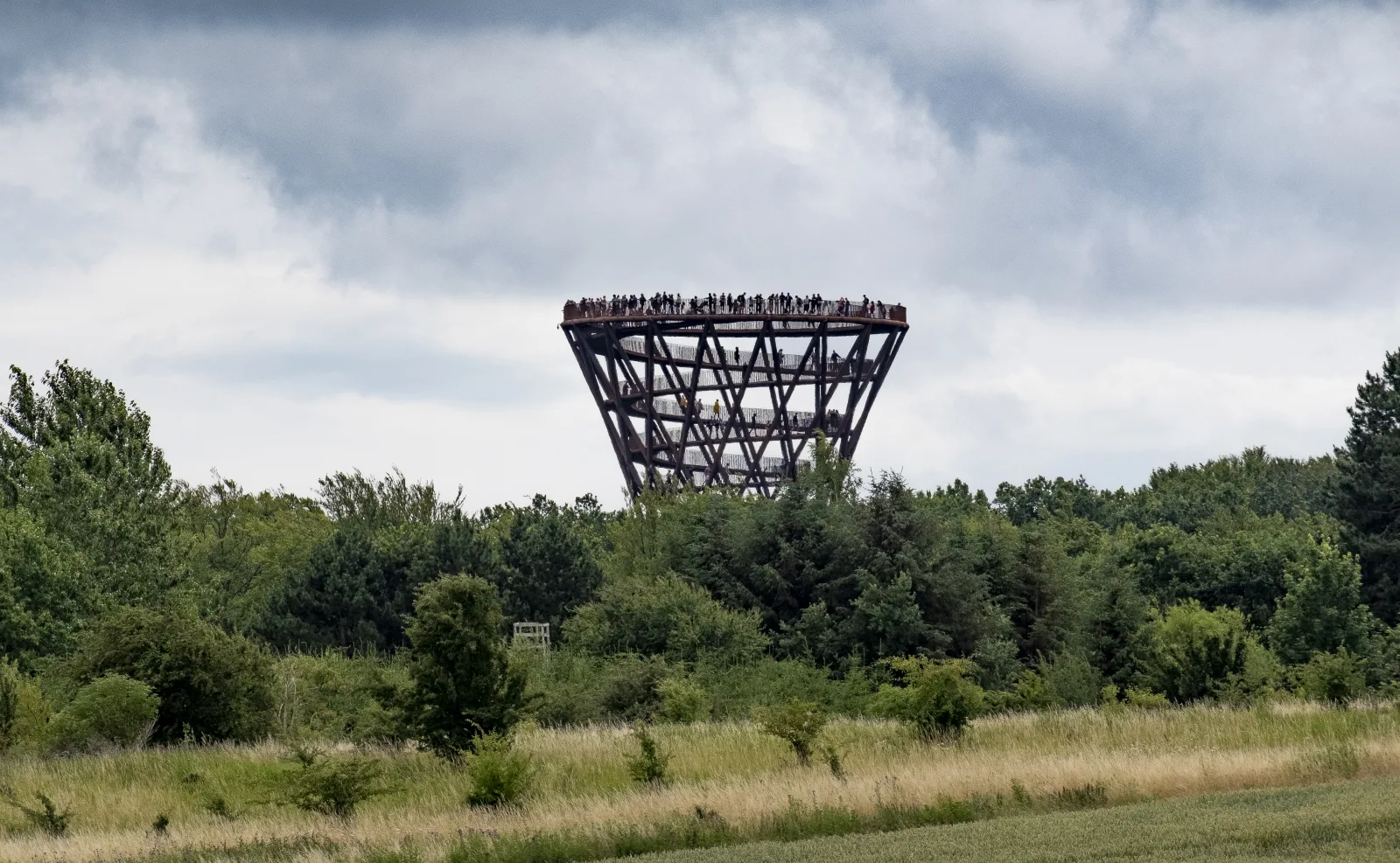 Skovtårnet – foto af Johan Wessman / News Oresund på Wikimedia Commons (cc-by-2.0)