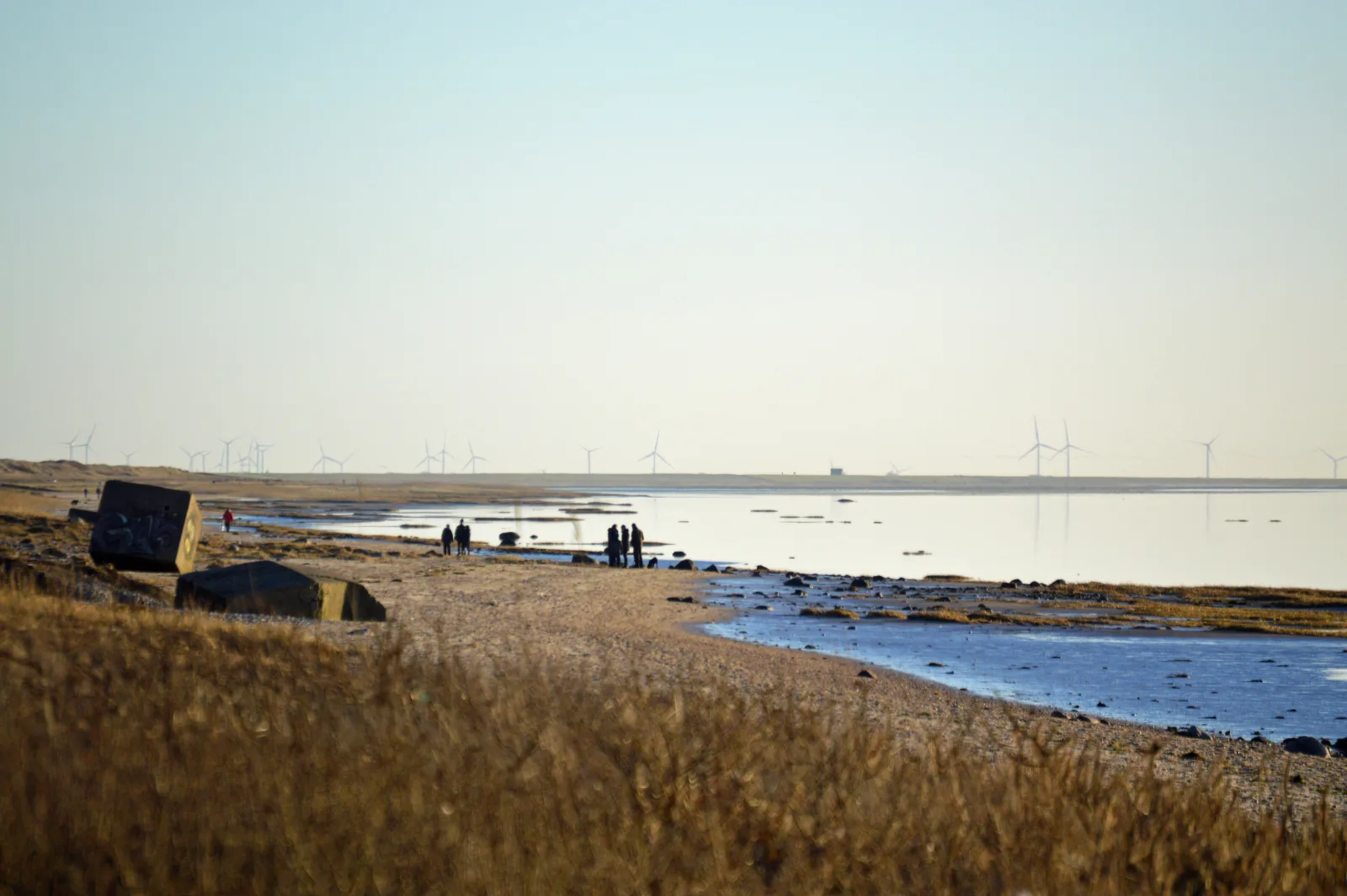 Hjerpsted Strand – foto af Thomas Dahlstrøm Nielsen på Wikimedia Commons (cc-by-sa-4.0)