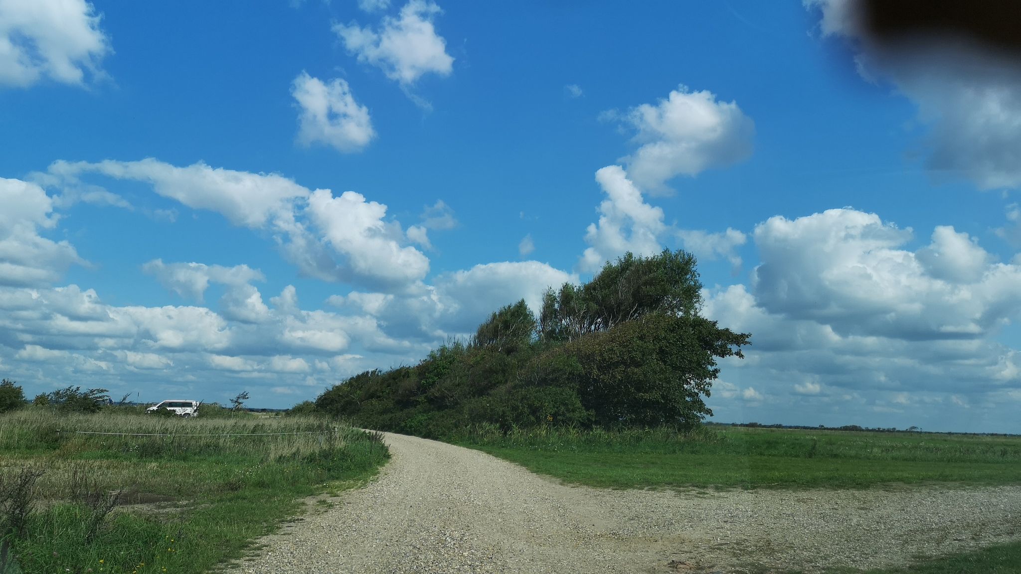 Mapillary-Foto in der Nähe von Naturcenter Skjern Enge