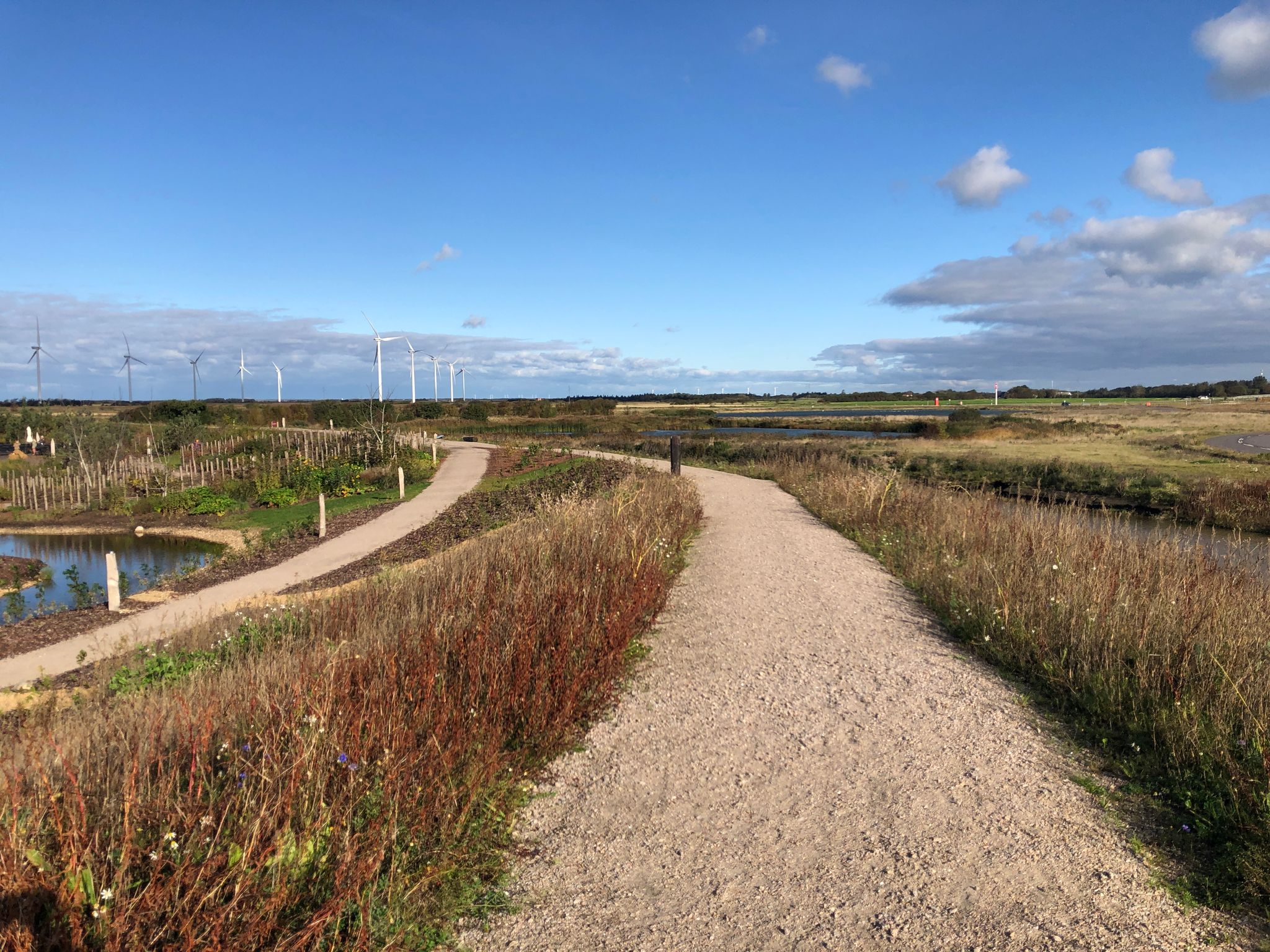 Mapillary-Foto in der Nähe von Oplevelsespark Naturkraft