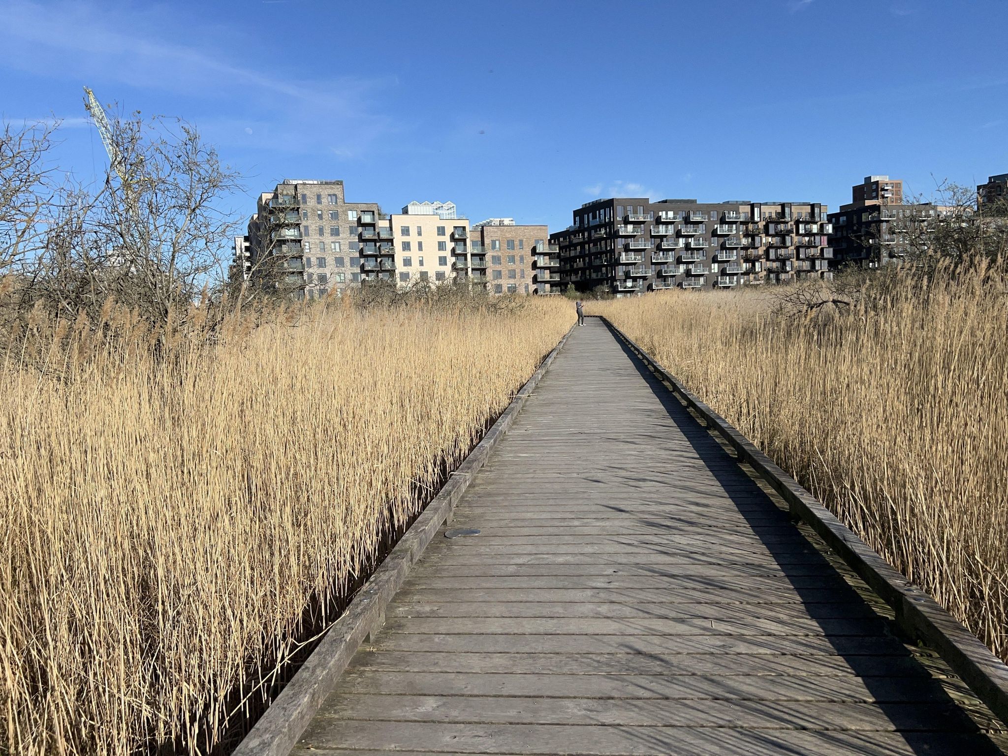 Mapillary-foto nær Udsigtstårnet
