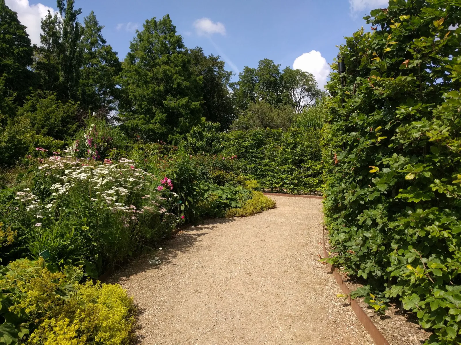 Mapillary-foto nær Takslabyrinten