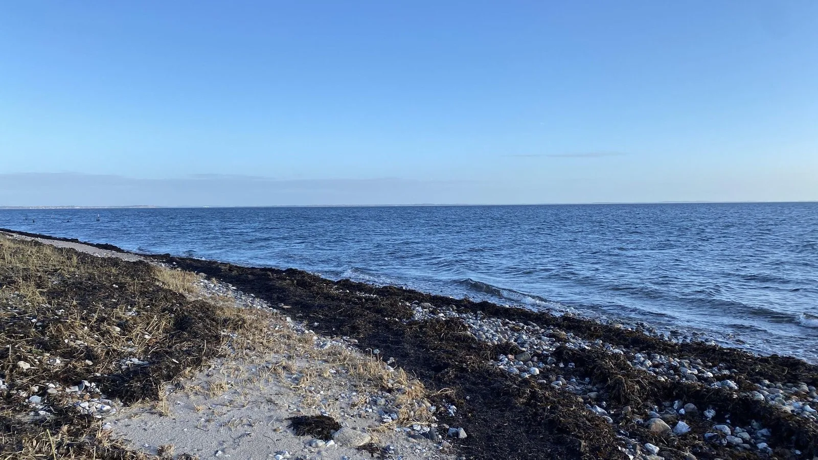 Mapillary-Foto bei Badegewässer: NAKKEHAGE